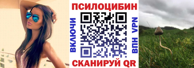 Псилоцибиновые грибы GOLDEN TEACHER  Купить где  Багратионовск 